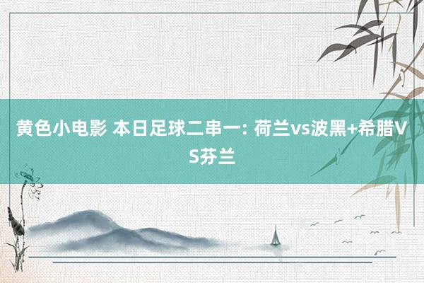 黄色小电影 本日足球二串一: 荷兰vs波黑+希腊VS芬兰