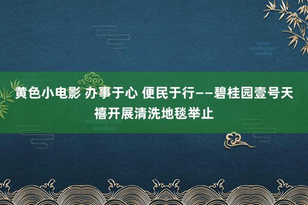 黄色小电影 办事于心 便民于行——碧桂园壹号天禧开展清洗地毯举止