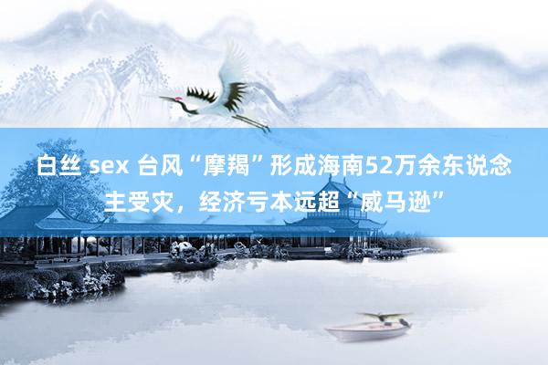 白丝 sex 台风“摩羯”形成海南52万余东说念主受灾，经济亏本远超“威马逊”