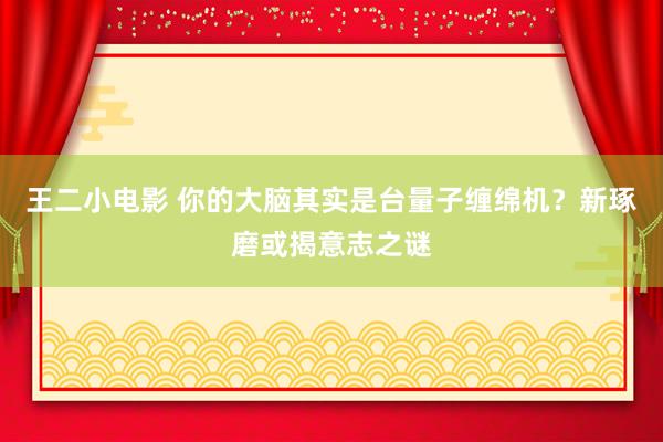 王二小电影 你的大脑其实是台量子缠绵机？新琢磨或揭意志之谜