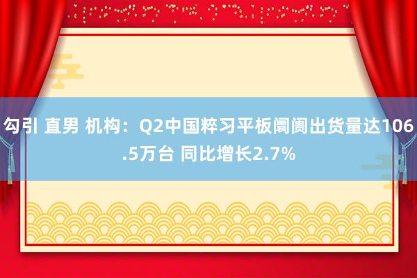 勾引 直男 机构：Q2中国粹习平板阛阓出货量达106.5万台 同比增长2.7%