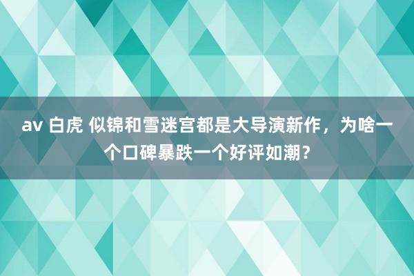 av 白虎 似锦和雪迷宫都是大导演新作，为啥一个口碑暴跌一个好评如潮？