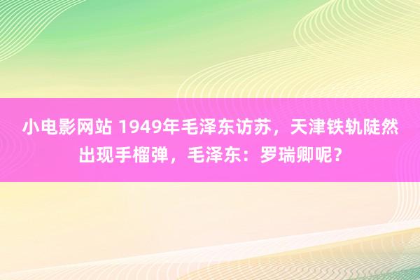 小电影网站 1949年毛泽东访苏，天津铁轨陡然出现手榴弹，毛泽东：罗瑞卿呢？