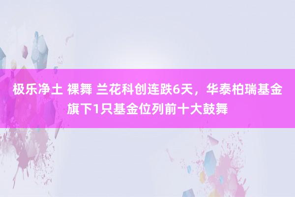 极乐净土 裸舞 兰花科创连跌6天，华泰柏瑞基金旗下1只基金位列前十大鼓舞