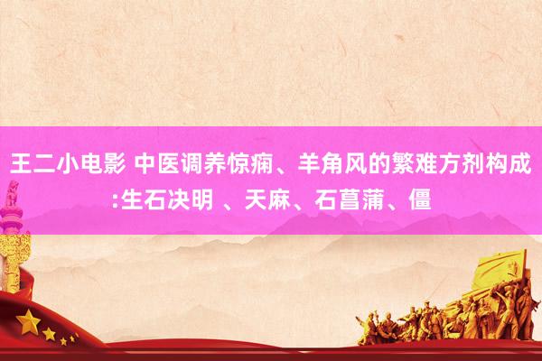 王二小电影 中医调养惊痫、羊角风的繁难方剂构成:生石决明 、天麻、石菖蒲、僵