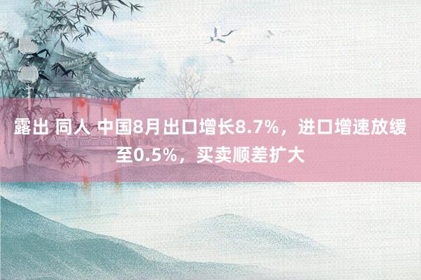 露出 同人 中国8月出口增长8.7%，进口增速放缓至0.5%，买卖顺差扩大