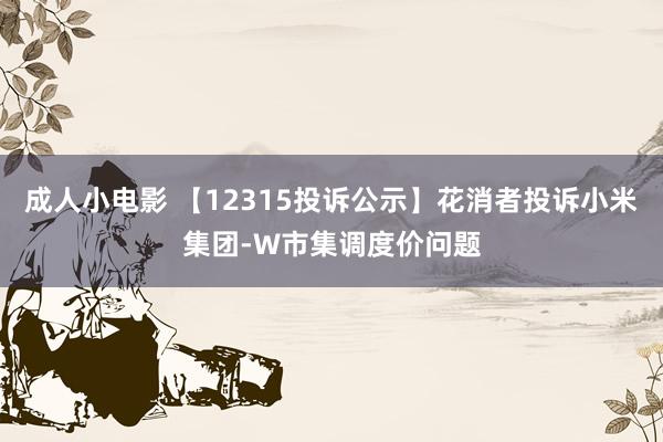 成人小电影 【12315投诉公示】花消者投诉小米集团-W市集调度价问题