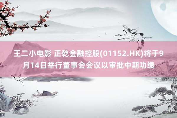 王二小电影 正乾金融控股(01152.HK)将于9月14日举行董事会会议以审批中期功绩