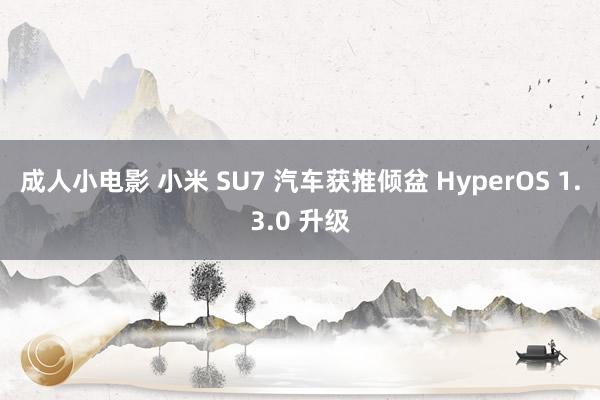 成人小电影 小米 SU7 汽车获推倾盆 HyperOS 1.3.0 升级