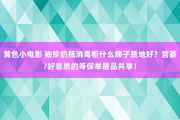 黄色小电影 袖珍奶瓶消毒柜什么牌子质地好？宫菱/好意思的等保举居品共享！