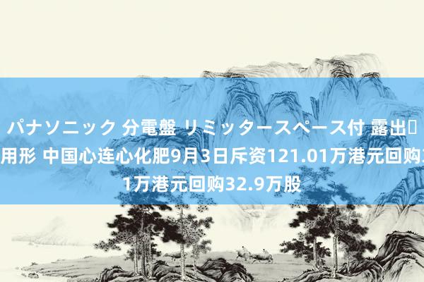 パナソニック 分電盤 リミッタースペース付 露出・半埋込両用形 中国心连心化肥9月3日斥资121.01万港元回购32.9万股