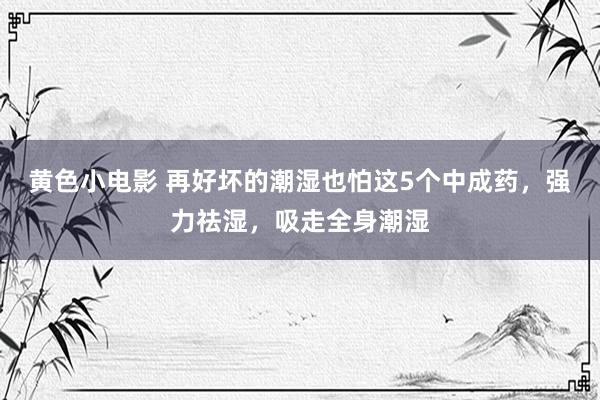 黄色小电影 再好坏的潮湿也怕这5个中成药，强力祛湿，吸走全身潮湿