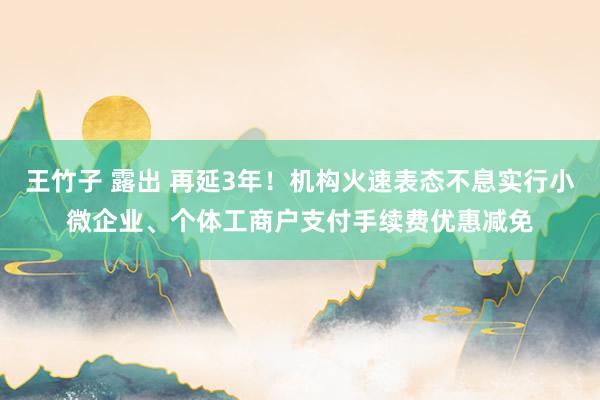 王竹子 露出 再延3年！机构火速表态不息实行小微企业、个体工商户支付手续费优惠减免