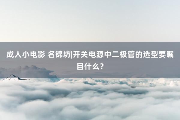 成人小电影 名锦坊|开关电源中二极管的选型要瞩目什么？