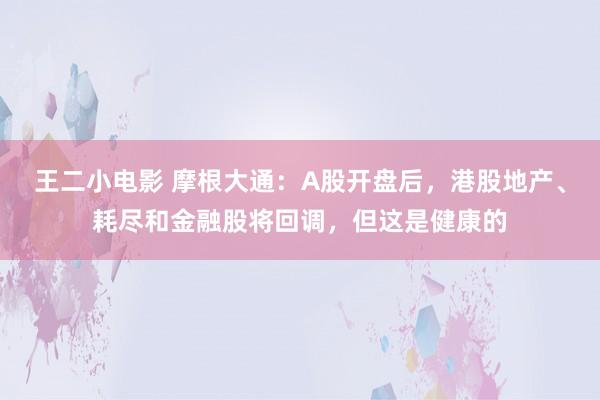 王二小电影 摩根大通：A股开盘后，港股地产、耗尽和金融股将回调，但这是健康的