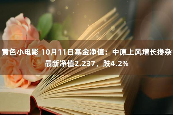 黄色小电影 10月11日基金净值：中原上风增长搀杂最新净值2.237，跌4.2%