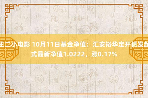 王二小电影 10月11日基金净值：汇安裕华定开债发起式最新净值1.0222，涨0.17%