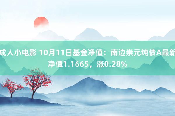 成人小电影 10月11日基金净值：南边崇元纯债A最新净值1.1665，涨0.28%