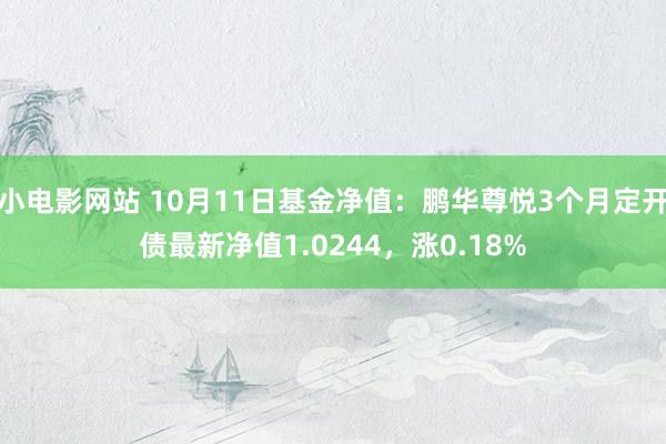 小电影网站 10月11日基金净值：鹏华尊悦3个月定开债最新净值1.0244，涨0.18%