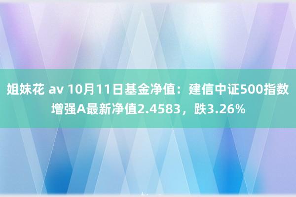 姐妹花 av 10月11日基金净值：建信中证500指数增强A最新净值2.4583，跌3.26%