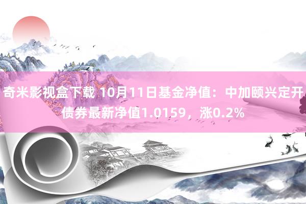 奇米影视盒下载 10月11日基金净值：中加颐兴定开债券最新净值1.0159，涨0.2%