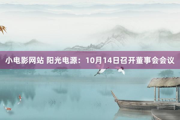 小电影网站 阳光电源：10月14日召开董事会会议