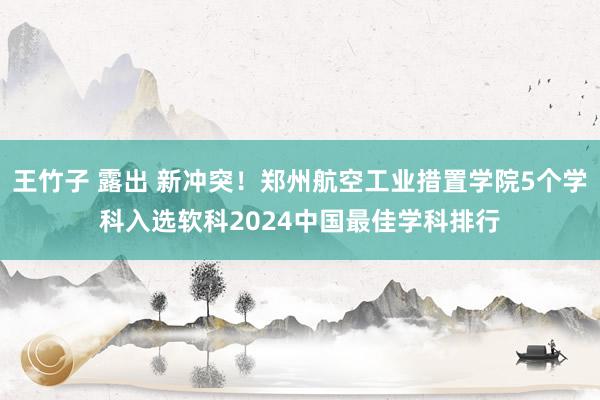 王竹子 露出 新冲突！郑州航空工业措置学院5个学科入选软科2024中国最佳学科排行