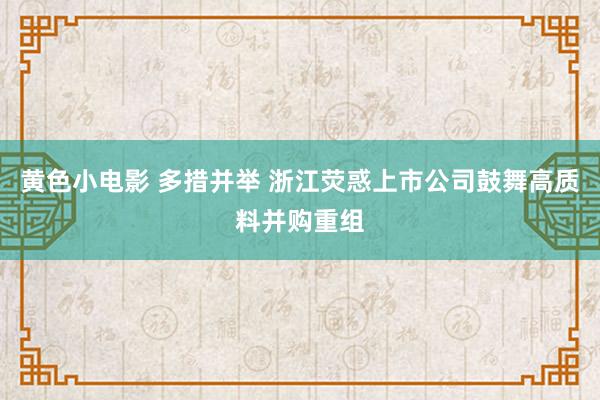 黄色小电影 多措并举 浙江荧惑上市公司鼓舞高质料并购重组