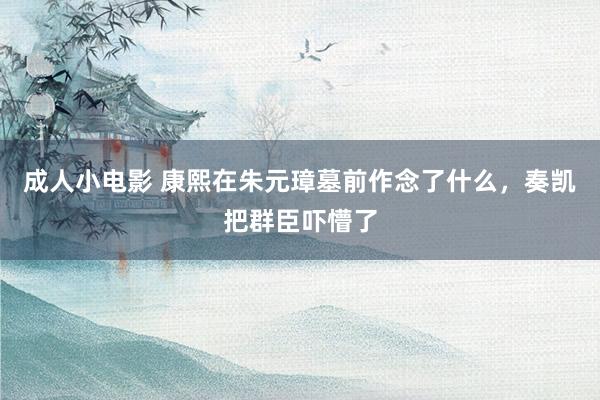 成人小电影 康熙在朱元璋墓前作念了什么，奏凯把群臣吓懵了