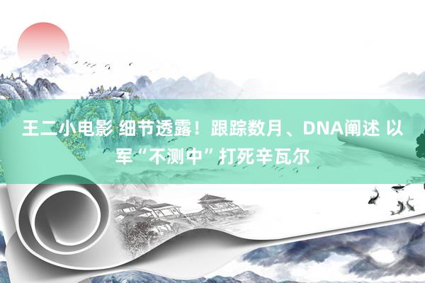 王二小电影 细节透露！跟踪数月、DNA阐述 以军“不测中”打死辛瓦尔