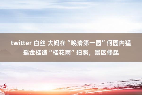 twitter 白丝 大妈在“晚清第一园”何园内猛摇金桂造“桂花雨”拍照，景区修起