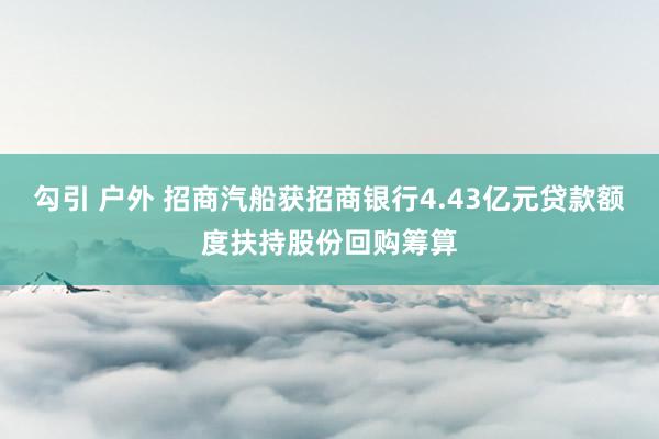 勾引 户外 招商汽船获招商银行4.43亿元贷款额度扶持股份回购筹算