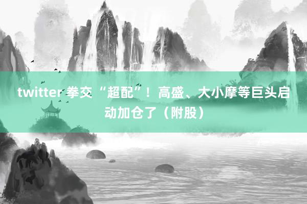 twitter 拳交 “超配”！高盛、大小摩等巨头启动加仓了（附股）