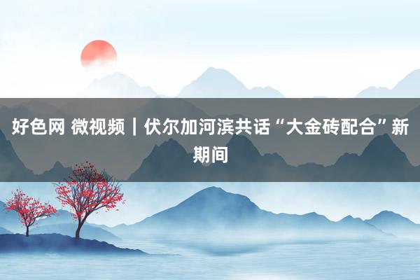 好色网 微视频｜伏尔加河滨共话“大金砖配合”新期间