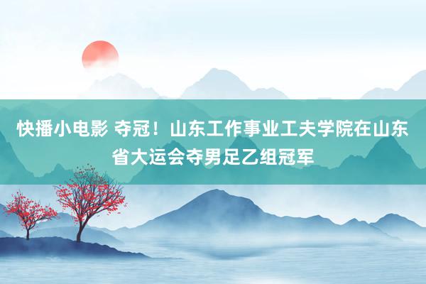 快播小电影 夺冠！山东工作事业工夫学院在山东省大运会夺男足乙组冠军