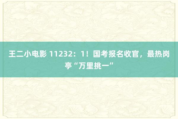 王二小电影 11232：1！国考报名收官，最热岗亭“万里挑一”