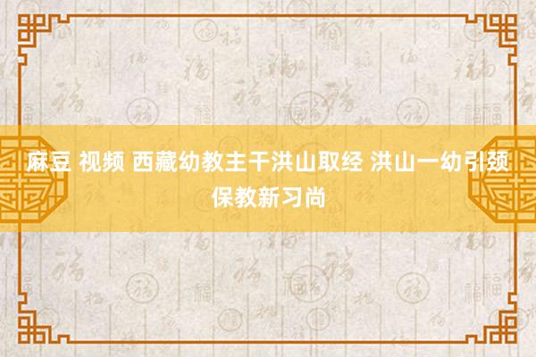 麻豆 视频 西藏幼教主干洪山取经 洪山一幼引颈保教新习尚