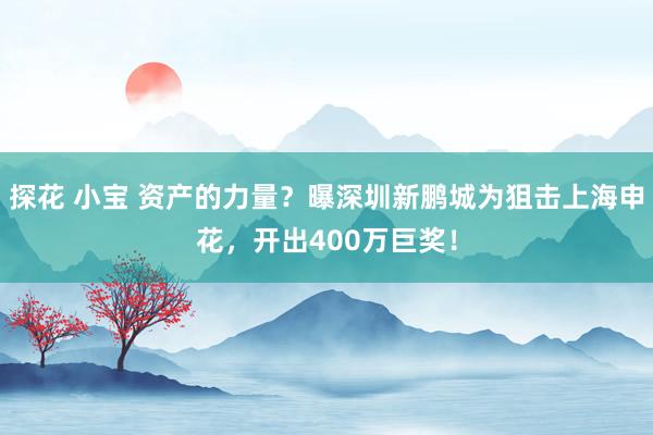 探花 小宝 资产的力量？曝深圳新鹏城为狙击上海申花，开出400万巨奖！