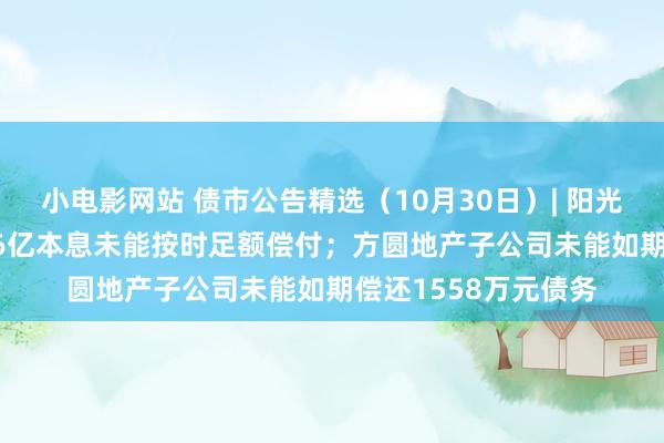 小电影网站 债市公告精选（10月30日）| 阳光城两期中票共24.76亿本息未能按时足额偿付；方圆地产子公司未能如期偿还1558万元债务