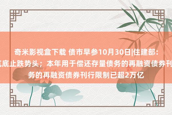 奇米影视盒下载 债市早参10月30日|住建部：牢固房地产市集筑底止跌势头；本年用于偿还存量债务的再融资债券刊行限制已超2万亿