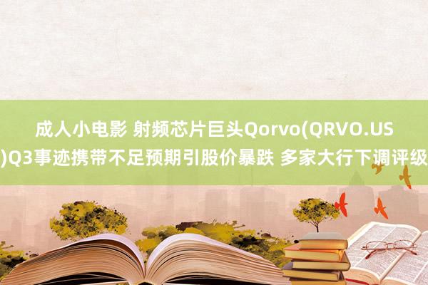 成人小电影 射频芯片巨头Qorvo(QRVO.US)Q3事迹携带不足预期引股价暴跌 多家大行下调评级