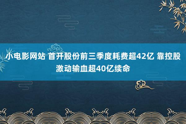 小电影网站 首开股份前三季度耗费超42亿 靠控股激动输血超40亿续命