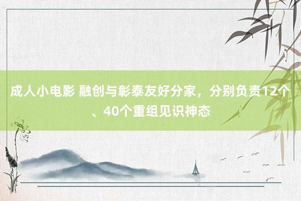 成人小电影 融创与彰泰友好分家，分别负责12个、40个重组见识神态