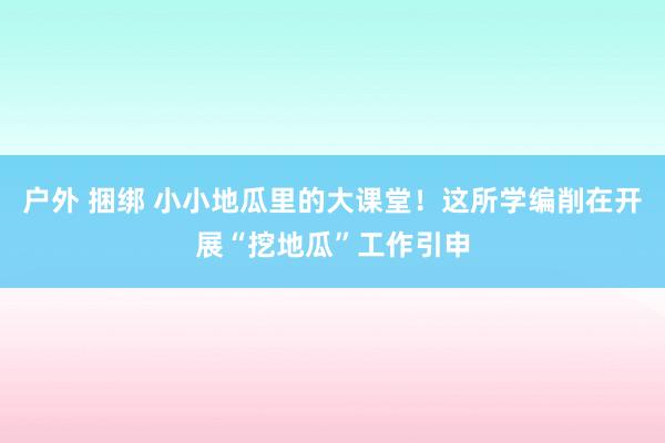 户外 捆绑 小小地瓜里的大课堂！这所学编削在开展“挖地瓜”工作引申