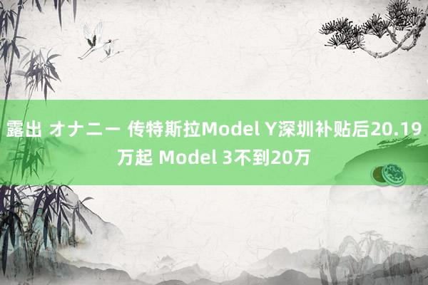 露出 オナニー 传特斯拉Model Y深圳补贴后20.19万起 Model 3不到20万