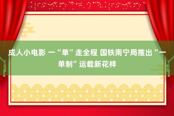 成人小电影 一“单”走全程 国铁南宁局推出“一单制”运载新花样