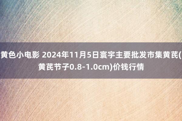 黄色小电影 2024年11月5日寰宇主要批发市集黄芪(黄芪节子0.8-1.0cm)价钱行情