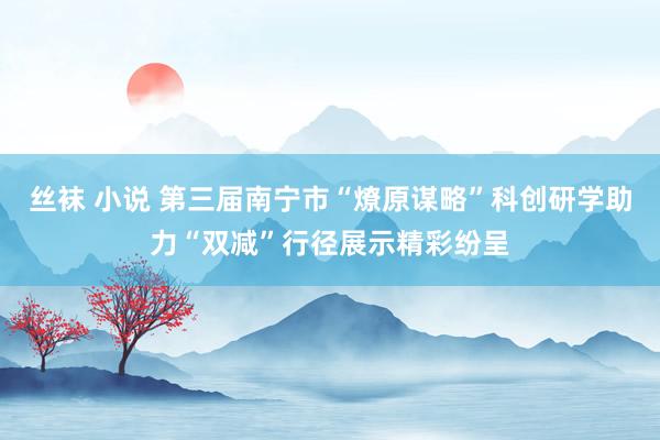 丝袜 小说 第三届南宁市“燎原谋略”科创研学助力“双减”行径展示精彩纷呈