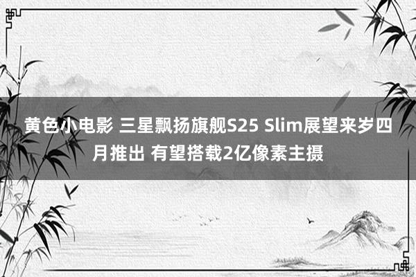 黄色小电影 三星飘扬旗舰S25 Slim展望来岁四月推出 有望搭载2亿像素主摄