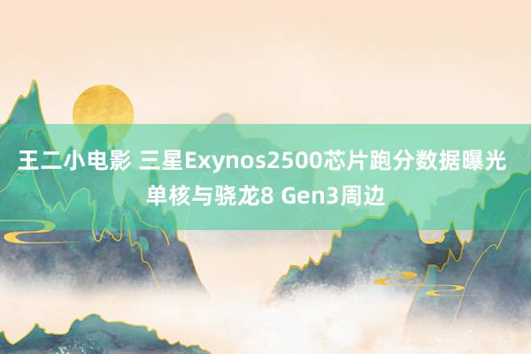 王二小电影 三星Exynos2500芯片跑分数据曝光 单核与骁龙8 Gen3周边